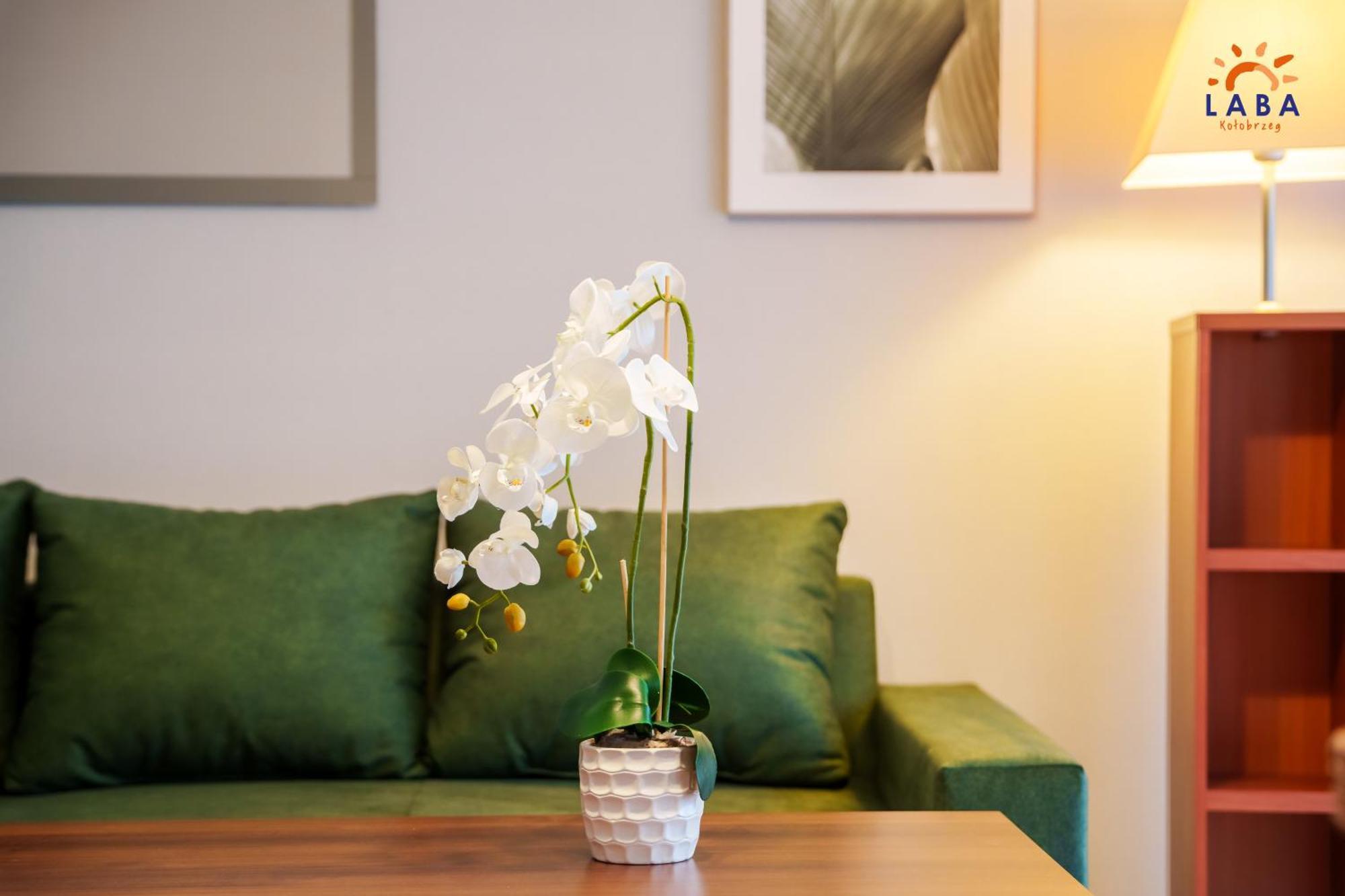 Laba Kolobrzeg Apartamenty Zielone Tarasy ภายนอก รูปภาพ